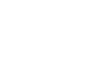 bremotion-logo